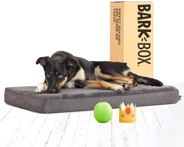 BarkBox memory foam bed